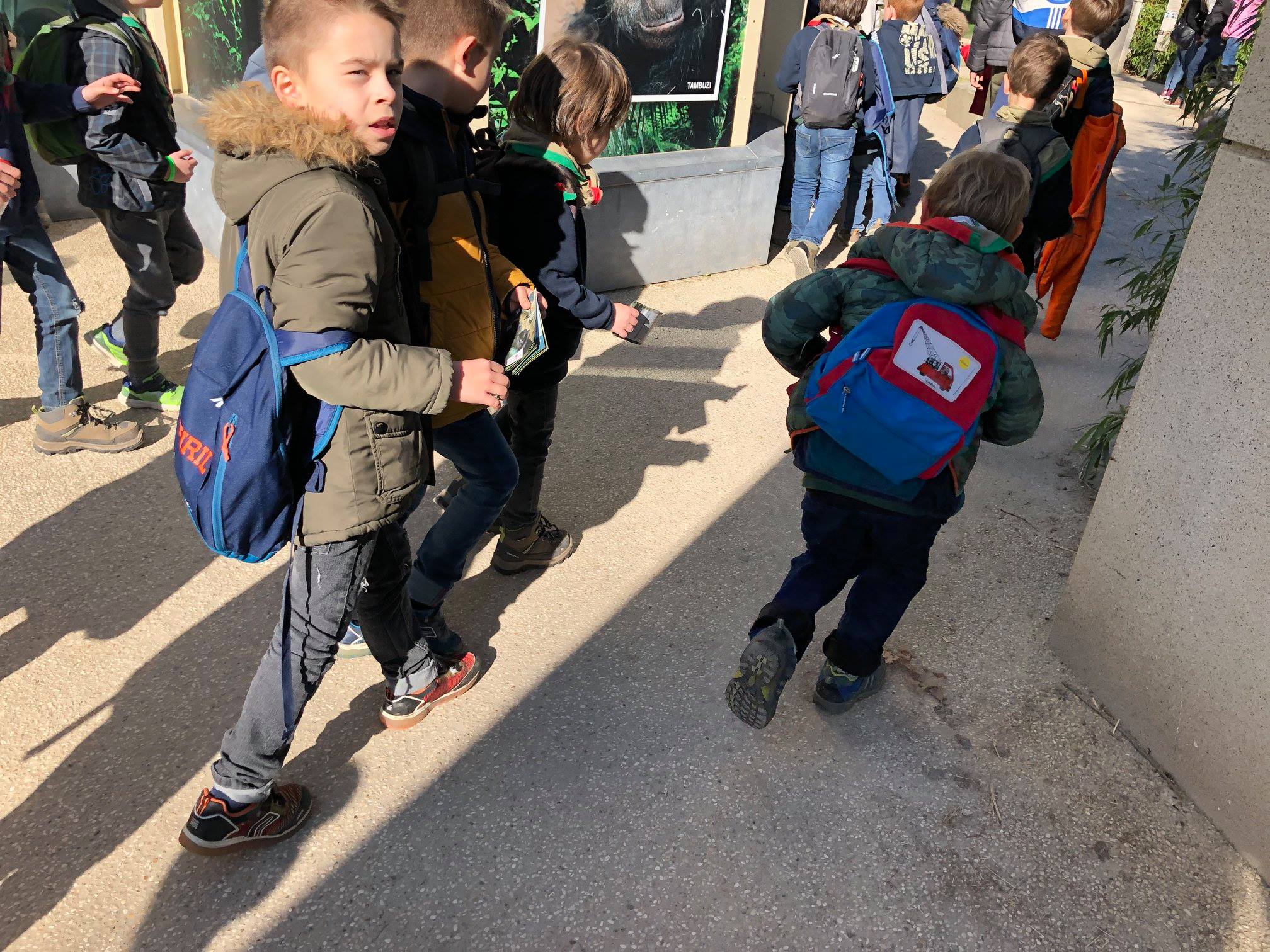 Sint-Martinus den XIIde - Zoo Antwerpen Kapoenen